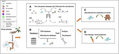 Traditional Chinese Medicine and Gut Microbiome: Their Respective and Concert Effects on Healthcare